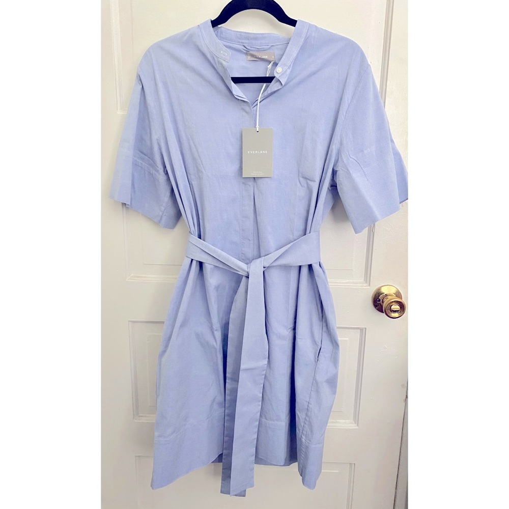 Everlane blue shirt dress
